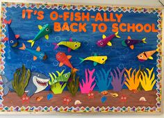 a bulletin board with paper cut out of fish on it's back to school