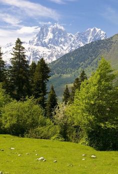 the mountains are covered in snow and green grass