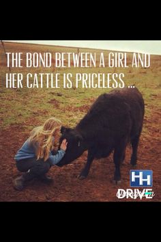 Livestock Cattle Showing, Cowgirl Quote, Show Steers, Cowgirl Quotes, Dairy Cattle