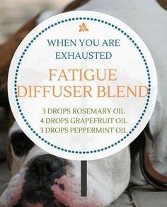 Fatigue Diffuser Blend Doterra Oil, Essential Oil Combinations, Essential Oil Diffuser Blends Recipes, Essential Oil Remedy, Young Living Essential Oils Recipes, Essential Oils Guide, Essential Oils Herbs, Essential Oils Health