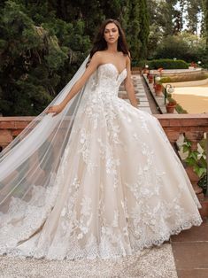 Pronovias Wedding Dress Pronovias: Elcira Wedding Dresses Ball Gown Sweetheart, A Line Wedding Dress Sweetheart, Pronovias Bridal, Wedding Dresses Sweetheart Neckline, Sweetheart Wedding Dress, Princess Wedding Dress, Lace Bridal Gown, Luxury Wedding Dress, Formal Dresses For Weddings