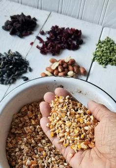 a person is holding seeds in their hand