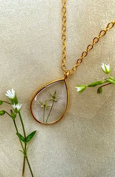 A beautiful necklace containing handpicked and pressed Chickweed. The frame and chain are gold coloured. The chain is about 43-45 cm long and closes with a lobster clasp. This product is handmade and may contain small imperfections, which is the beauty of buying handmade items! <3 Nature-inspired Gold Teardrop Pendant Jewelry, Gold Flower-shaped Jewelry With Lobster Clasp, Gold Necklaces With Lobster Clasp And Flower Pendant, Gold Charm Necklace With Pressed Flowers In Round Pendant, Gold Necklace With Flower Pendant And Lobster Clasp, Handmade Gold Nature-inspired Necklace, Handmade Nature-inspired Gold Necklace, Delicate Gold Necklace With Pressed Flowers, Gold Nature-inspired Necklace With Flower Pendant