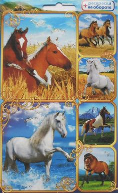 the four horses are depicted in this puzzle