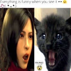 two pictures one with a cat and the other with a woman's face