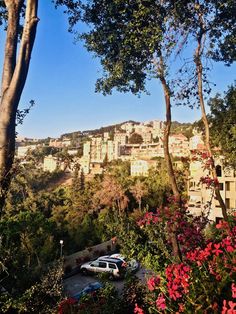 cars parked on the side of a road next to trees and flowers with buildings in the background