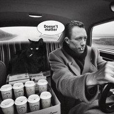 a man driving a car with a black cat sitting on the passenger seat next to him