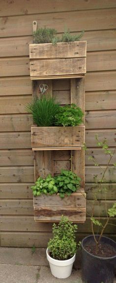 a wooden shelf filled with plants next to a building