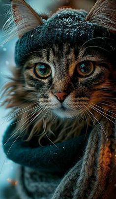 a cat wearing a hat and scarf in the snow