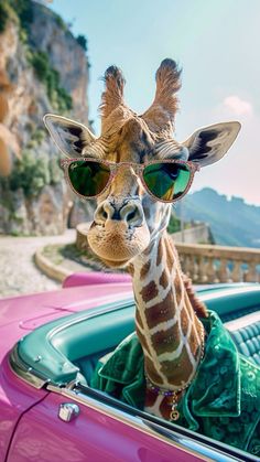 a giraffe wearing sunglasses sitting in the driver's seat of a car