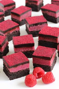 chocolate raspberry cookie bars Red Raspberry Desserts, Raspberry Cookie Bars, Cupcake Brownies, Raspberry Cookie, Raspberry Powder, Chocolate Cookie Bars, Raspberry Ganache, Raspberry Bars, Raspberry Brownies