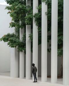 a man standing in front of tall white pillars with trees growing on them and one person looking at the ground