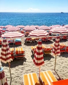 many beach chairs and umbrellas are lined up on the beach