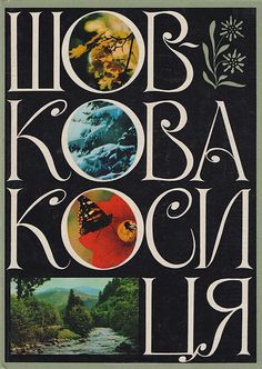 the book cover for koba koon li