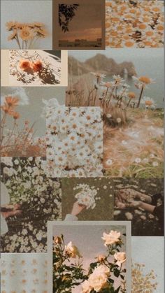 a collage of photos with flowers and plants on them, all in different colors