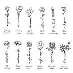 the different types of flowers that are drawn by hand on a white sheet with black ink