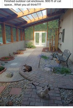 two cats are laying on the ground in front of a building with a glass roof