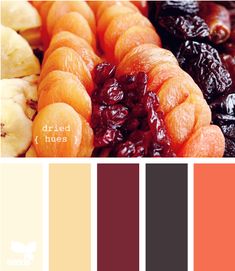 an assortment of fruits and vegetables are shown in color swatches with the words dried hues above them