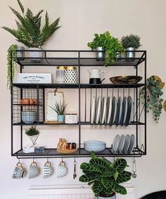 a shelf filled with dishes and plants next to a wall mounted potted houseplant