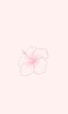 a pink flower on a light pink background