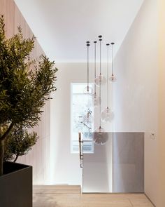 an entry way with plants and hanging lights on the wall, along with a potted plant