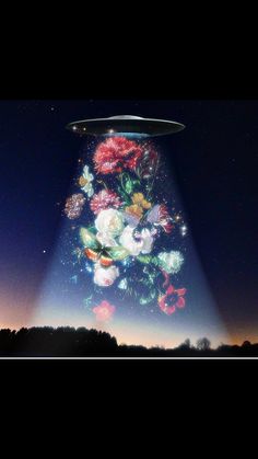 an image of a vase with flowers on it in the night sky and light coming from behind