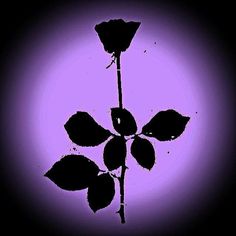 a black and purple photo of a single rose