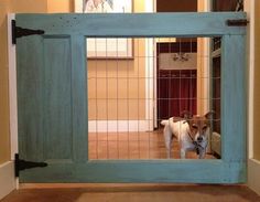 a dog standing in front of a blue door with an open window on the inside