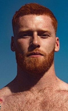 Red Bearded Men, Ginger Haired Men, Ginger Men With Beards, Handsome Redhead Men, Men Face Reference, Red Haired Men, Red Hair Man, Red Head Men