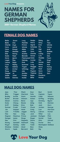 a blue and white poster with the names of many different types of animals in it