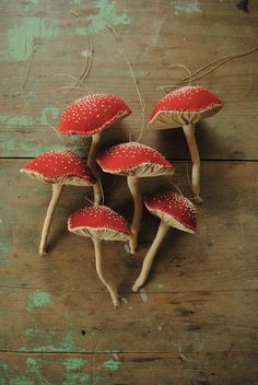 small red mushrooms sitting on top of a wooden table