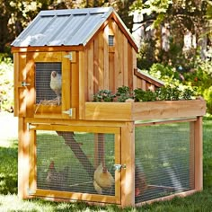 a chicken coop with two chickens in it