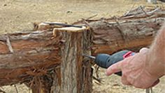 a man is using an electric tool to cut down a tree