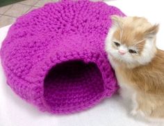 a cat sitting next to a purple crocheted kitty bed on top of a table