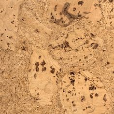 an image of some rocks that are in the sand and dirt with little holes on them