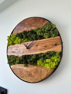 a clock made out of wood and moss on the side of a wall in a living room