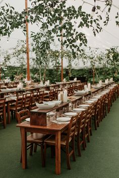 tables and chairs set up for an outdoor wedding reception with greenery hanging from the ceiling