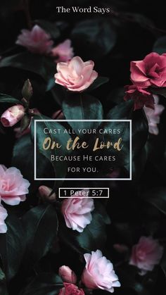 pink flowers with the words, cast all your cares on the lord because he cares for you