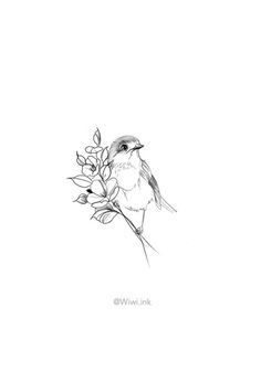 a black and white drawing of a bird sitting on a branch with leaves in its beak