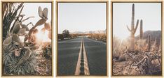 three pictures of the same road with cactus and cacti on each one side