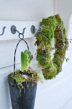 a potted plant hanging from a hook on a wall next to a moss wreath