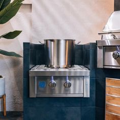 a stainless steel stove top oven sitting next to a plant