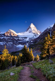 a trail leading to the top of a mountain with snow capped mountains in the background