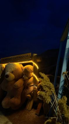 two large teddy bears sitting next to each other in front of a sign that reads support cappadocia