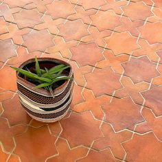 a potted plant sitting on top of a tiled floor