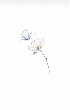 Tattoo ideas Hummingbird Daisy Tattoo, Daisy Tattoo With Butterfly, Danty Tattoos Small Flowers, Butterfly Daisy Tattoo, Daisy And Butterfly Tattoo, Minimal Flower Tattoo, Daisy Line Art, Daisy Tattoos, Daisy Tattoo Designs