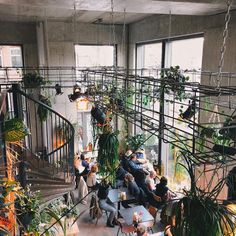 people are sitting at tables in an indoor cafe with plants and potted plants on the walls