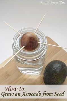 an avocado sitting on top of a wooden cutting board next to a glass jar