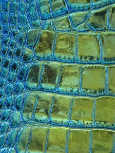 an alligator's skin is shown in blue and gold