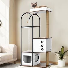 a cat sitting on top of a shelf in a living room